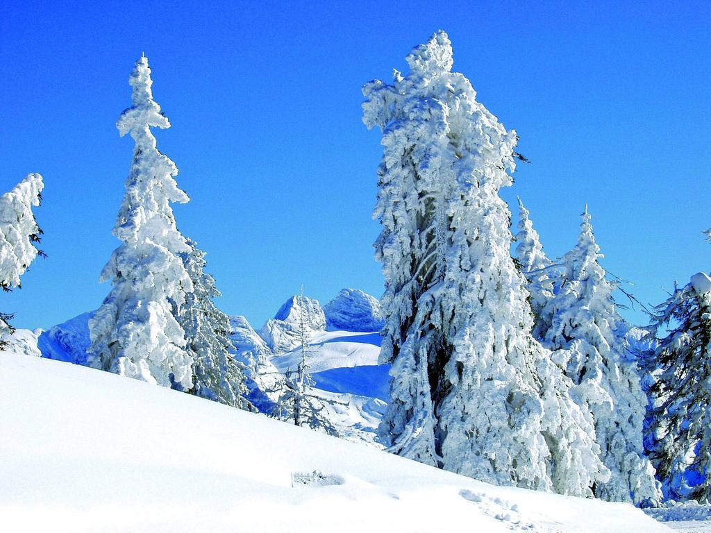 Landhaus Koller Hotel Gosau Luaran gambar