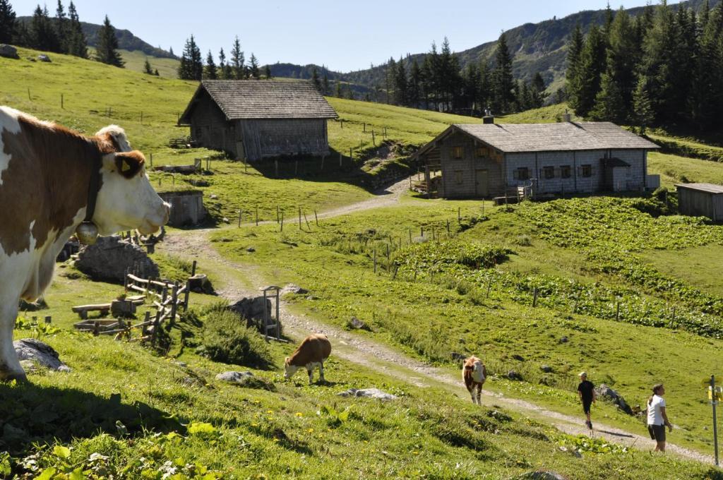 Landhaus Koller Gosau Luaran gambar