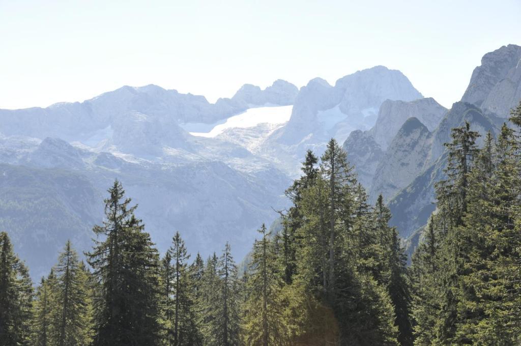 Landhaus Koller Hotel Gosau Luaran gambar